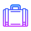 Professional plan icon
